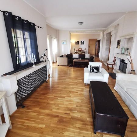 Lux Villa Provence Budva Eksteriør bilde