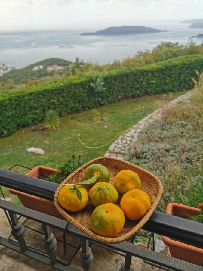 Lux Villa Provence Budva Eksteriør bilde